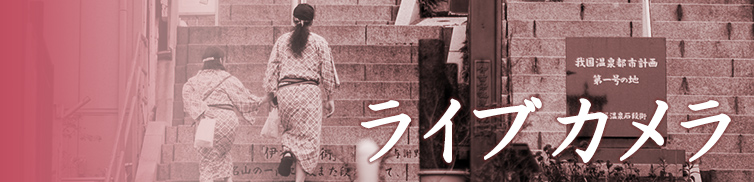 ライブカメラ